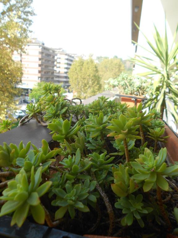A Casa Chiecchi B&B Rome Bagian luar foto