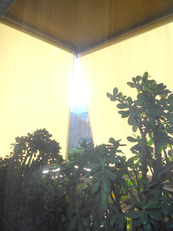 A Casa Chiecchi B&B Rome Bagian luar foto